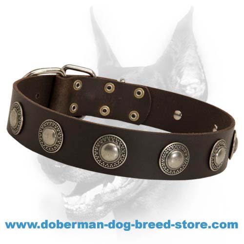 Black Leather Dog Collar - Small - Medium - Large- Western Conchos LL#