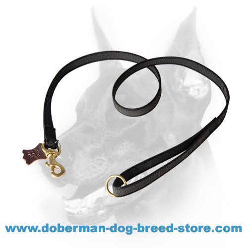 dog leash with o ring