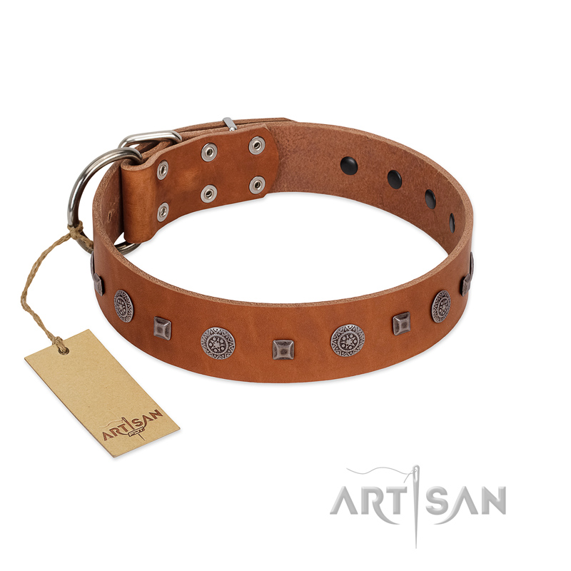 Designer shop doberman collars