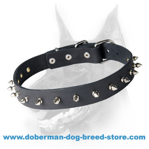 Spike collar for sales humans