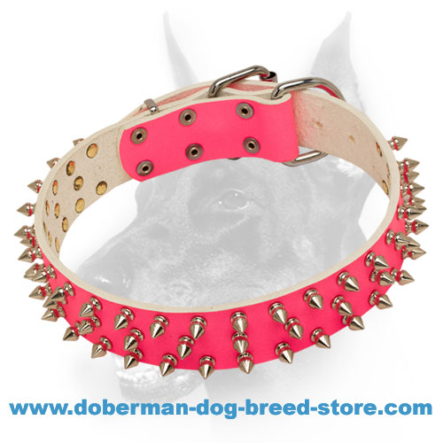 lady dog collar